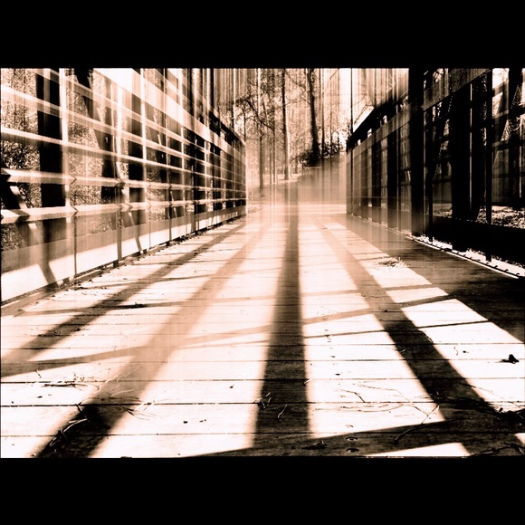 Meet your Posher, Haley - Picture 6 of 16